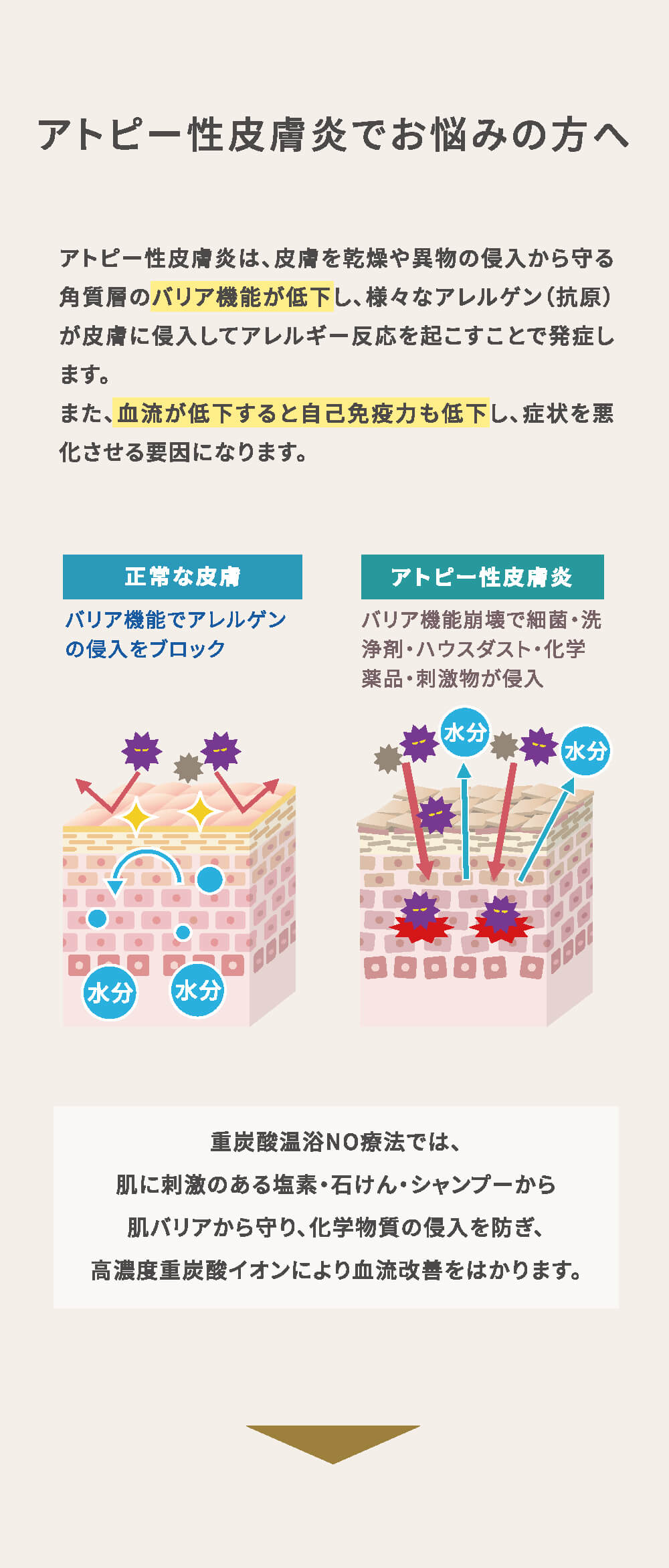 重炭酸温浴によるNO（エヌオー）分泌促進の仕組み